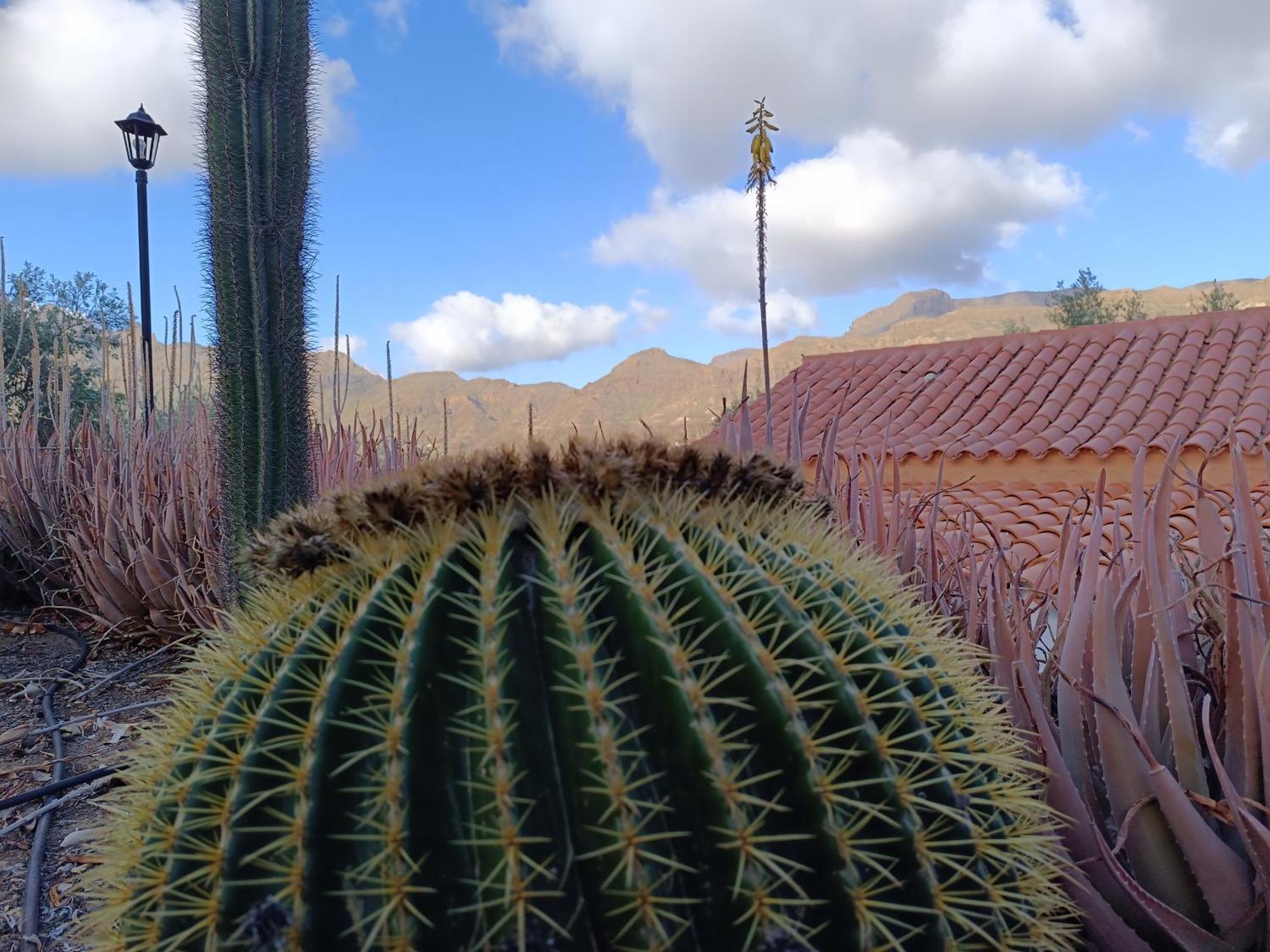 La Casa De La Pradera Panzió Santa Lucia Kültér fotó