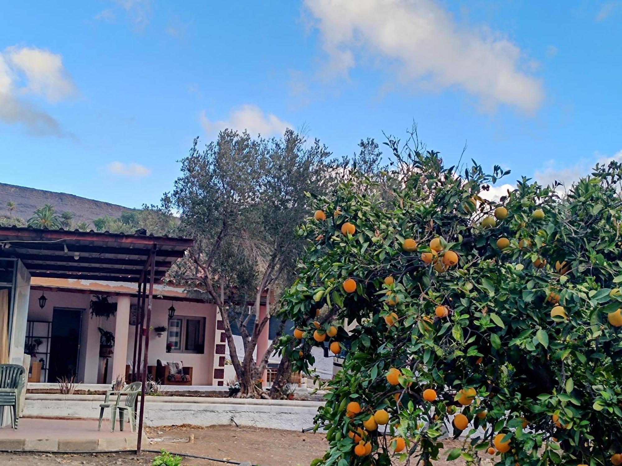 La Casa De La Pradera Panzió Santa Lucia Kültér fotó